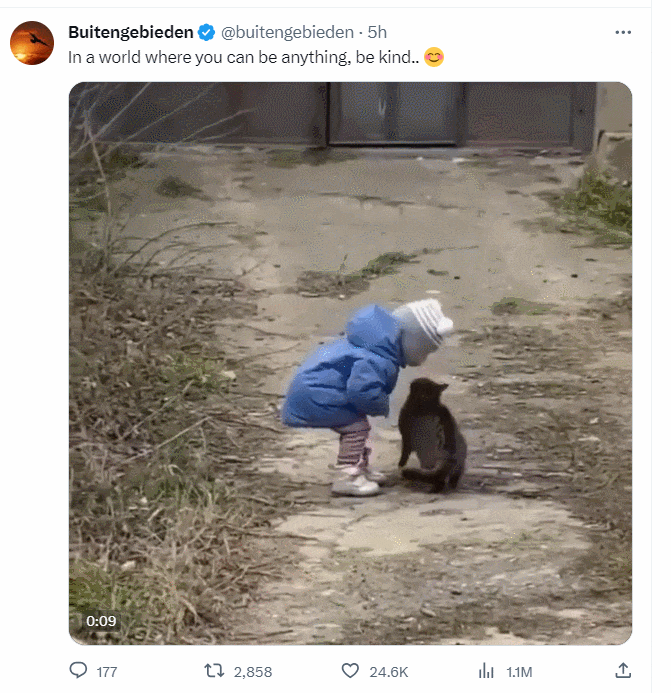 한숨 푹푹 쉬는 냥이...왜 ㅣ 누구든 사랑하는 마음 VIDEO: What is mama cat thinking..ㅣ In a world where you can be..