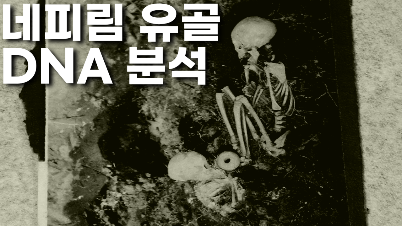  파라카스 네피림 유골 분석: 페니키아인과 거인족의 관계 | 티모시 알베리노 & L.A. 마르줄리