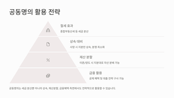 공동명의 활용 전략