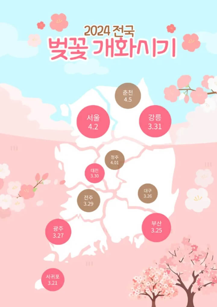  2024 벚꽃 개화 시기, 이건 못참지