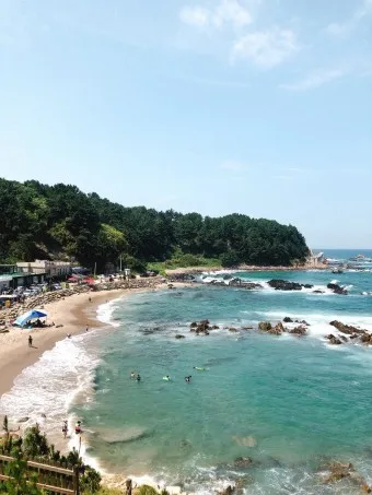 2025 울진 대게 축제 후포항 개최 소식_17