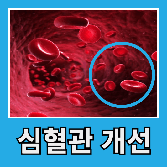 향어 효능, 심혈관 건강 개선