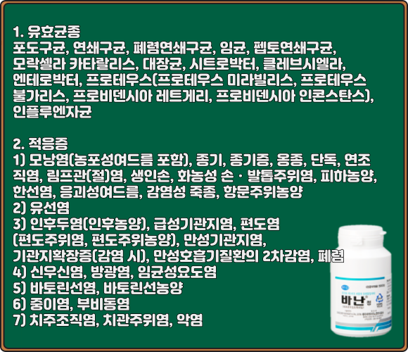 바난정_효능