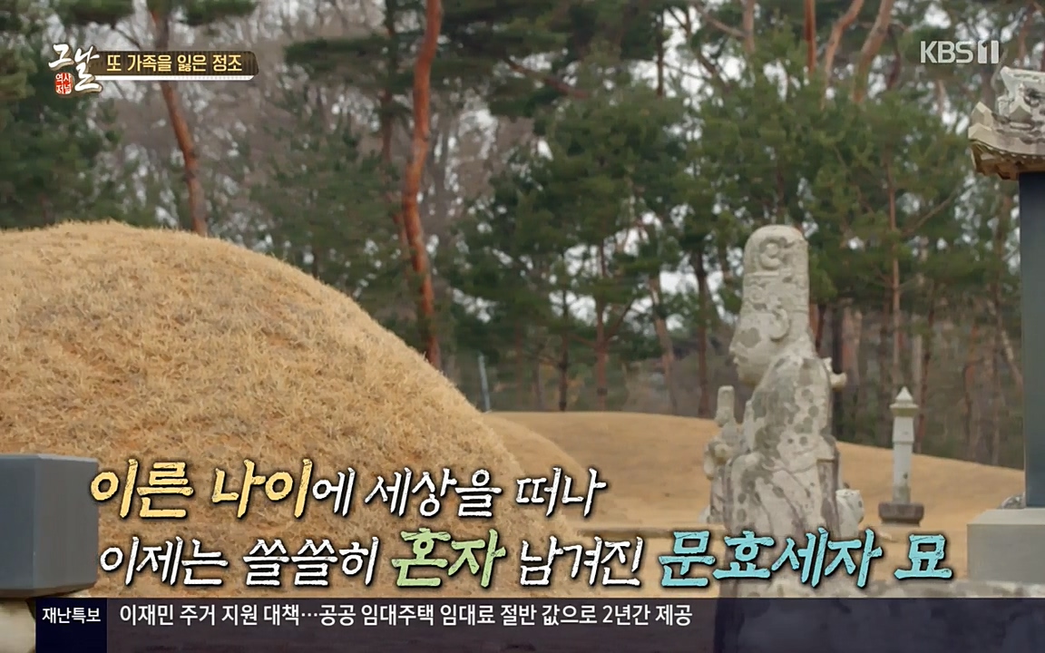 역사저널 그날.E351.220314p-NEXT.mp4_20220420_192402.540.jpg
