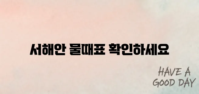 2025 서해안 물때표 시간표 총정리｜갯벌 체험·낚시 필수 체크!