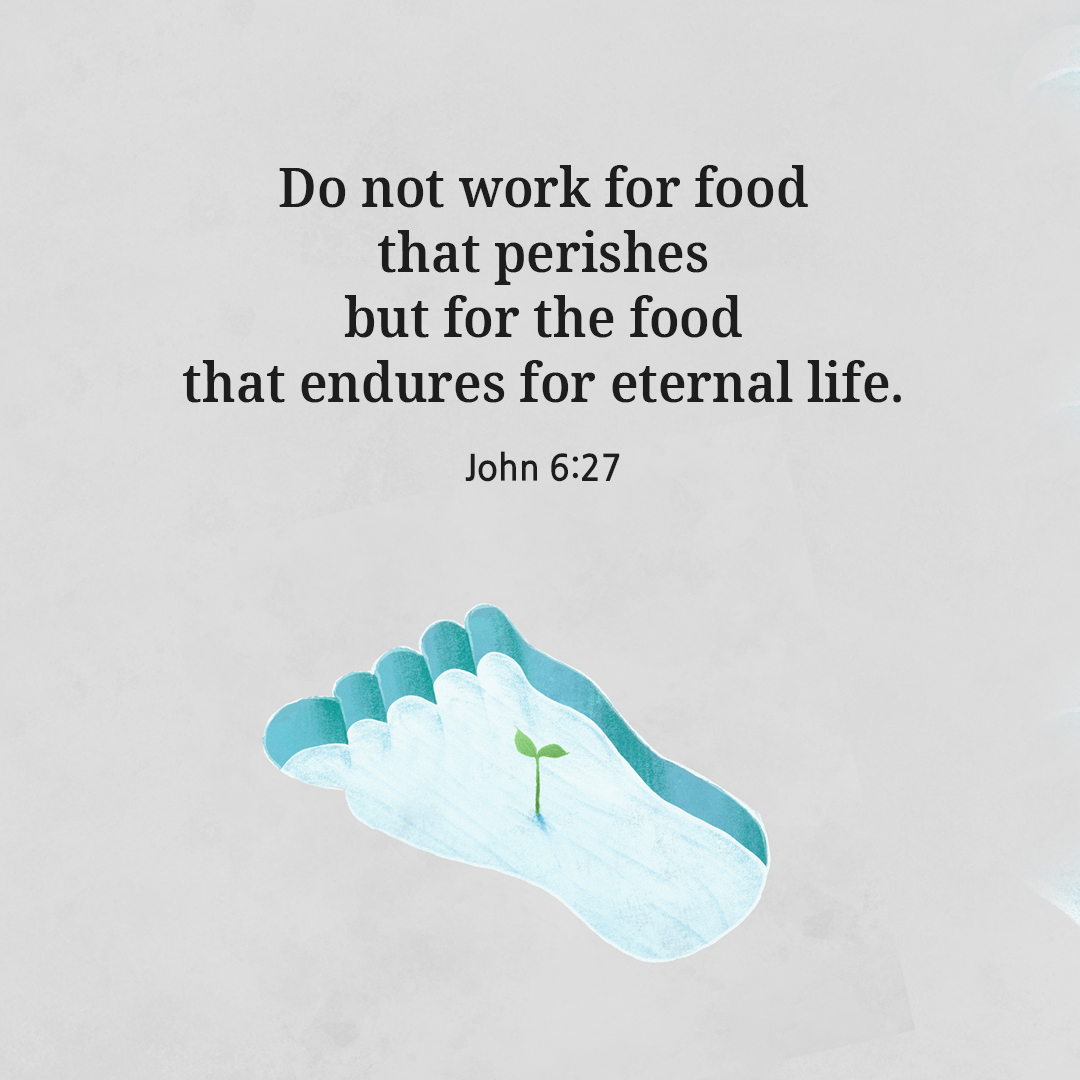 Do not work for food that perishes but for the food that endures for eternal life. (John 6:27)
