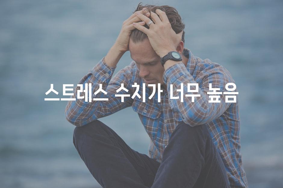 스트레스 수치가 너무 높음