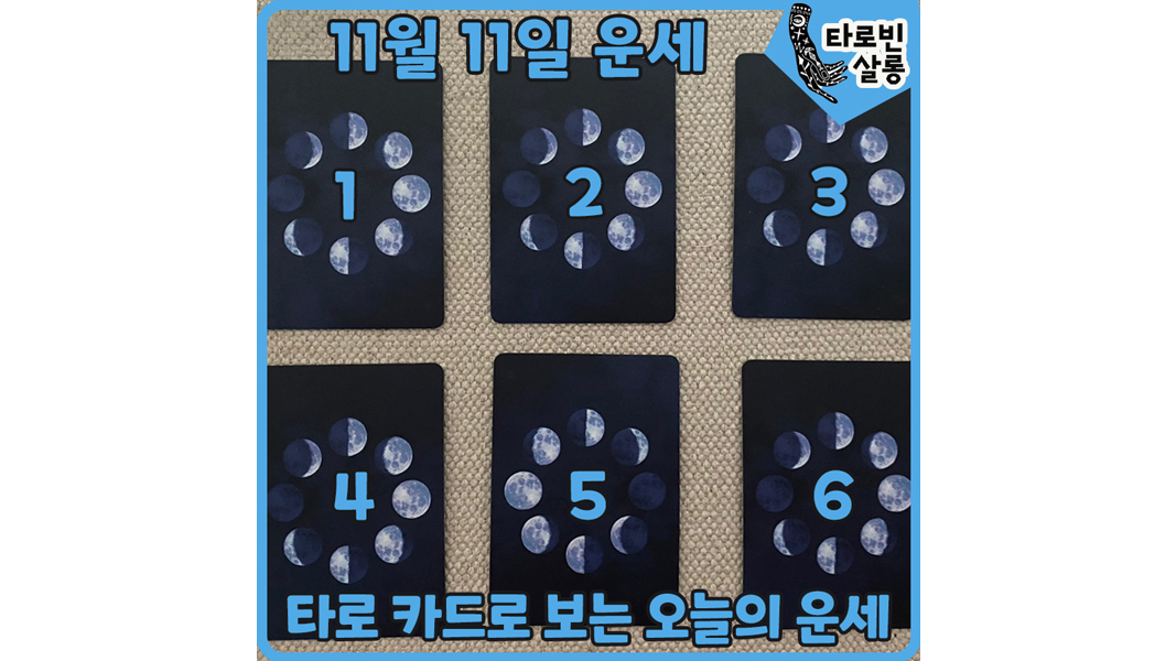  [11월 11일 운세] 타로 카드로 보는 365일 운세