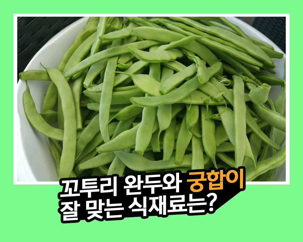  [음식궁합] 꼬투리완두와 음식궁합이 잘 맞는 식재료는? 꼬투리완두와 새우, 꼬투리완두와 달걀은 음식궁합이 좋아요! 꼬투리완두 비타민 C 가득!