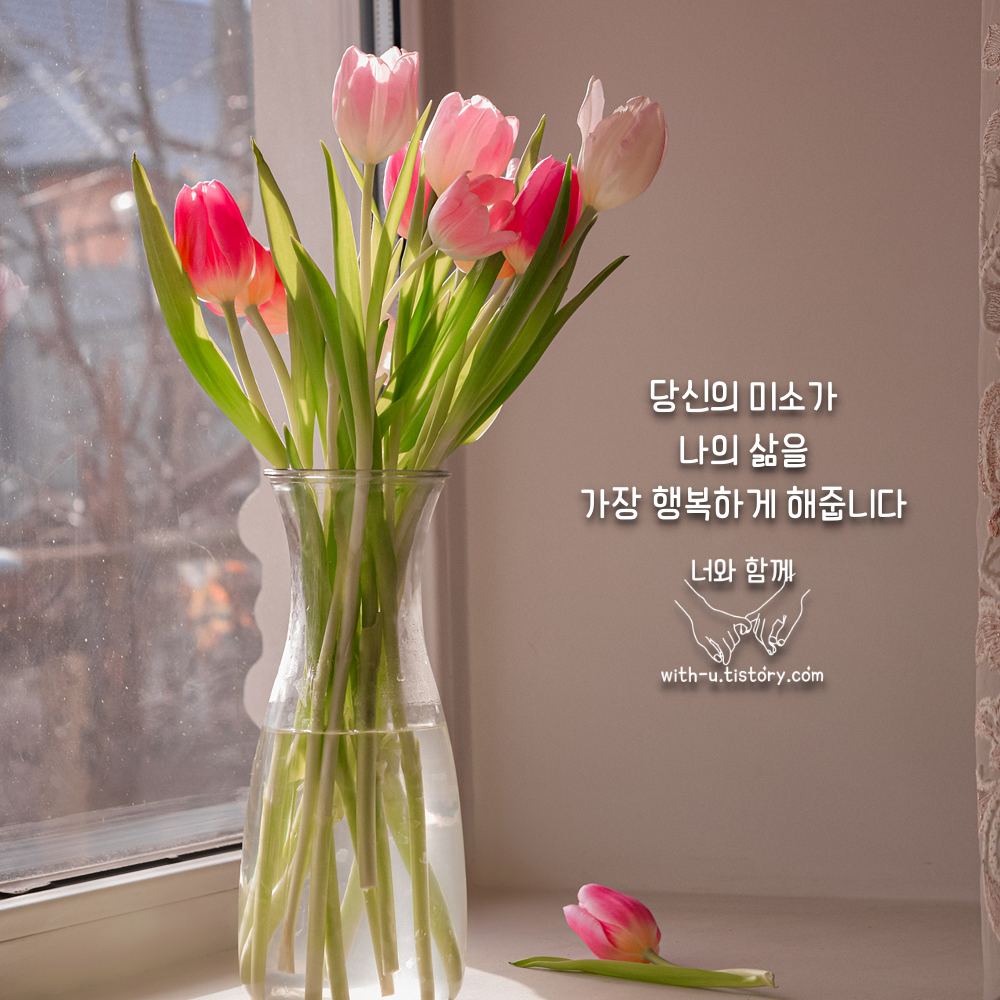  미소 명언 : 짧고 좋은 글귀 : 짧은 명언
