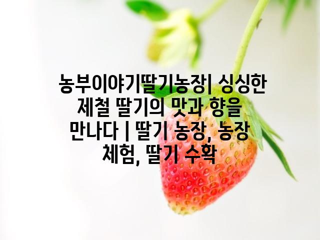 랜덤223