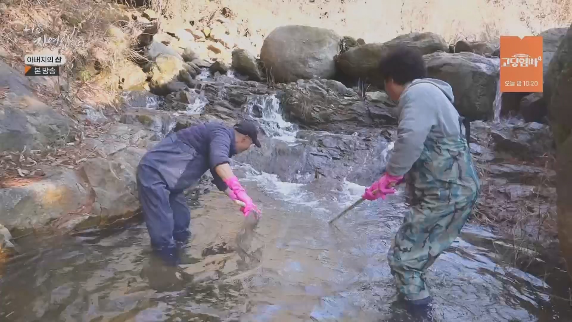 나는 자연인이다.E595.240228p.H264-F1RST.mp4_20240229_200115.641.jpg