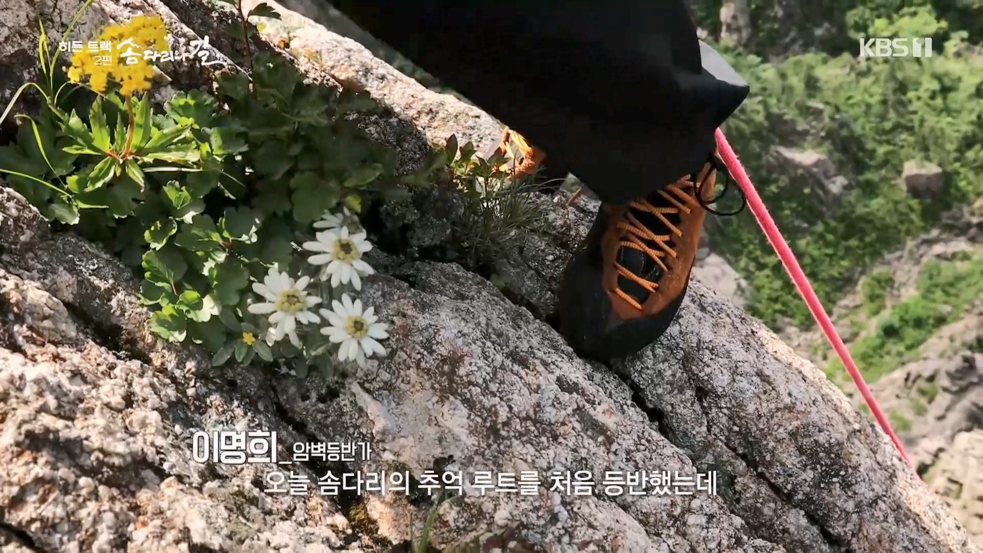 다큐 인사이트.E02.231215p.H264-F1RST.mp4_20231216_182737.879.jpg