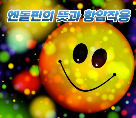 엔돌핀(endorphin)의 뜻과 항암작용