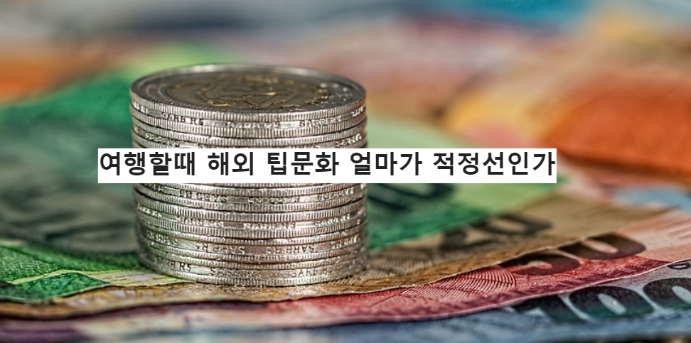 여행할때 해외 팁문화 얼마가 1