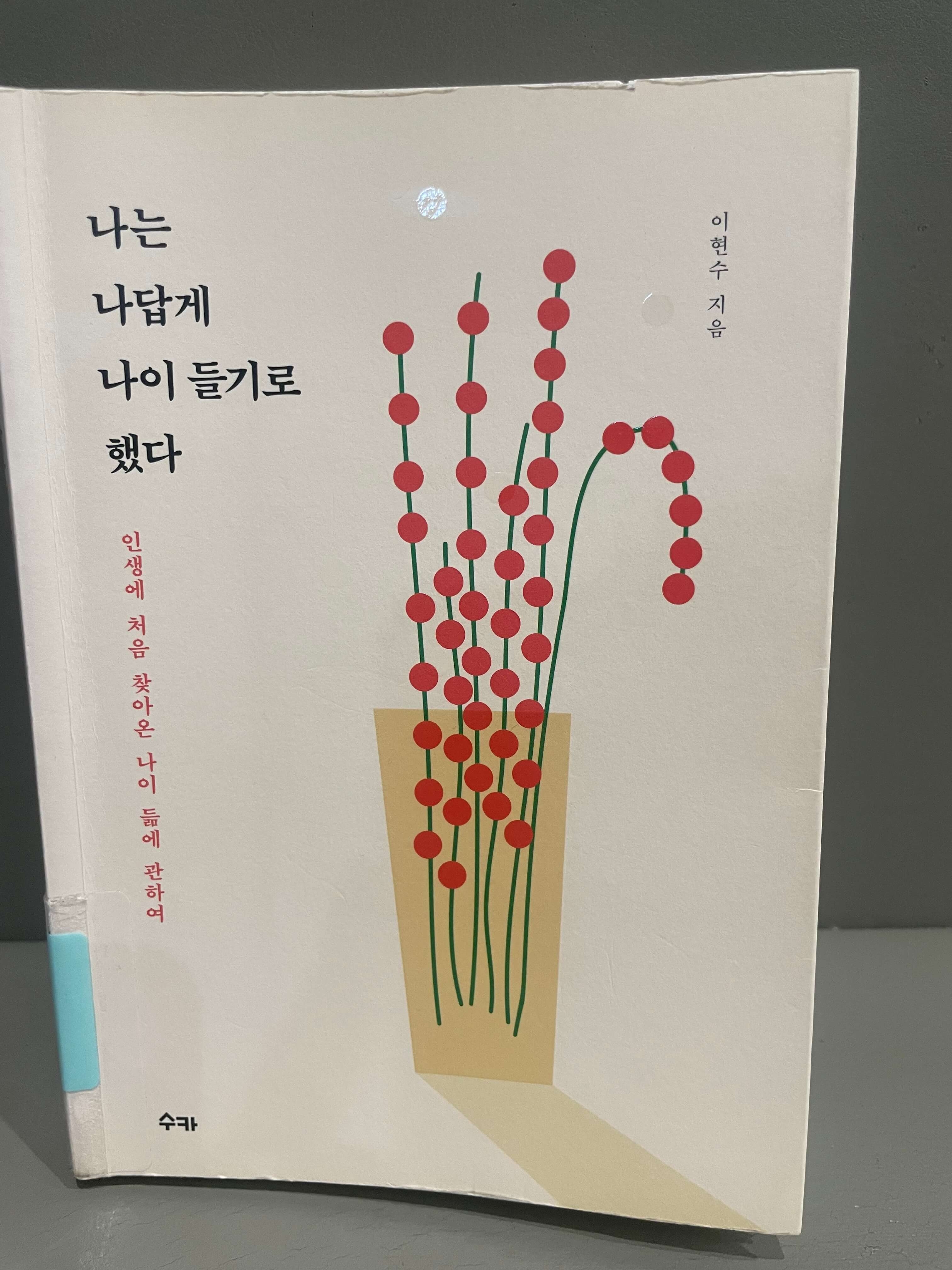 이현수의 나는 나답게 나이 들기로 했다