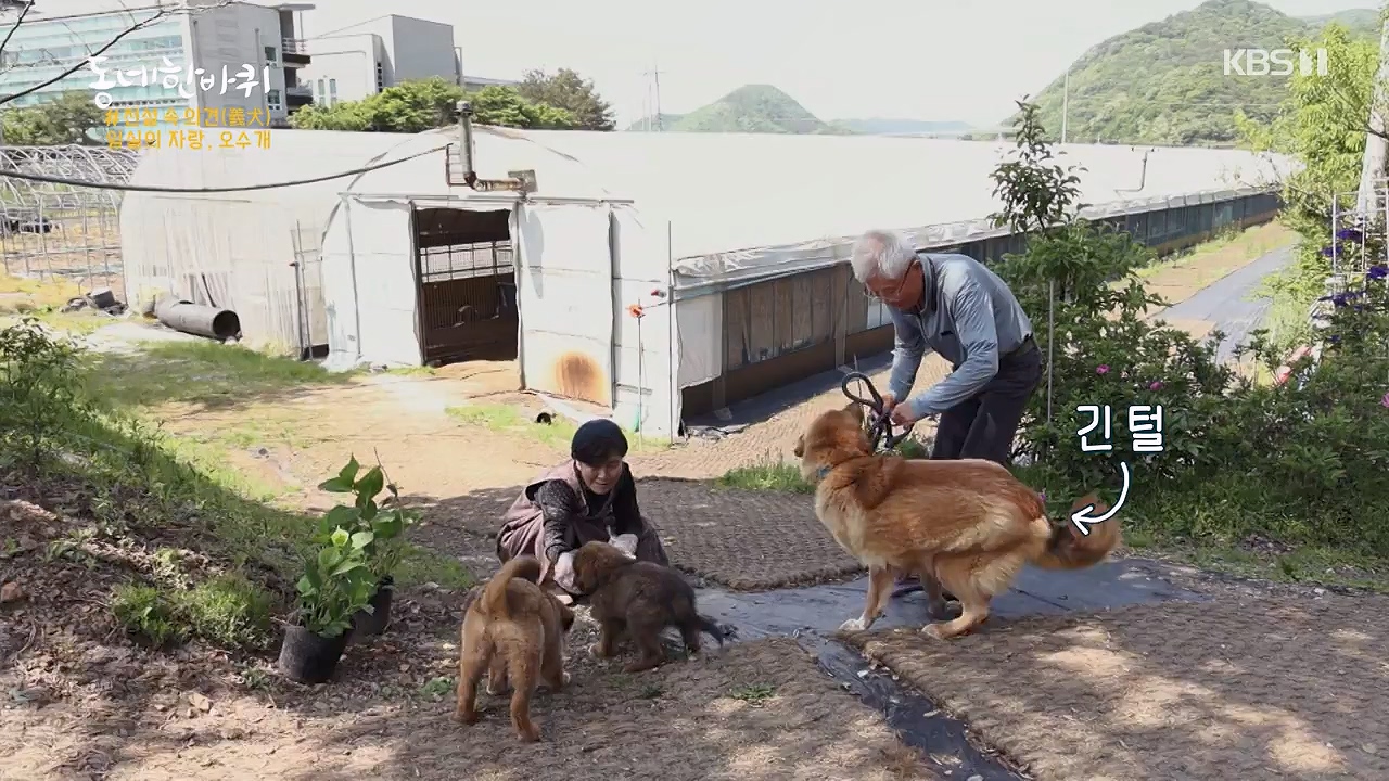 동네 한 바퀴.E276.240602p-NEXT.mp4_20240602_162335.163.jpg