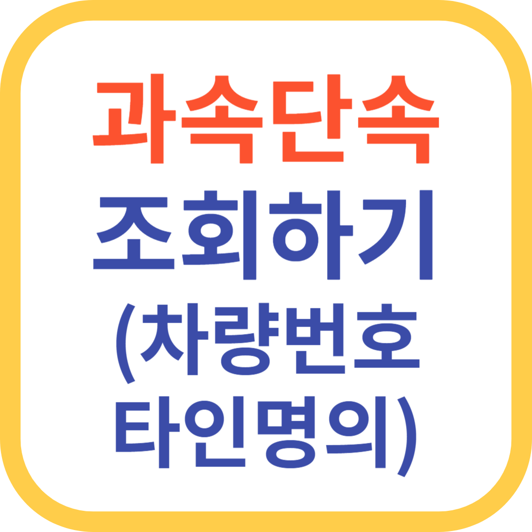 과속단속 조회하기