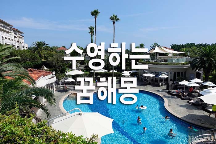  헤엄치는 꿈해몽