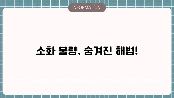 소화 안될때 약