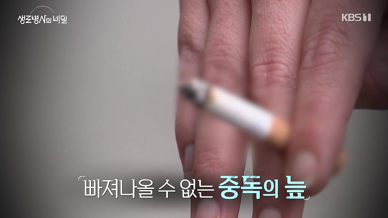생로병사의 비밀.E916.240620p-NEXT.mp4_20240620_195004.851.jpg