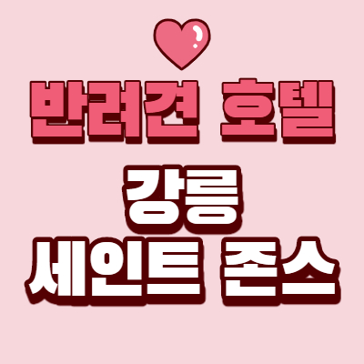  강릉 반려견 동반 호텔 알아보자