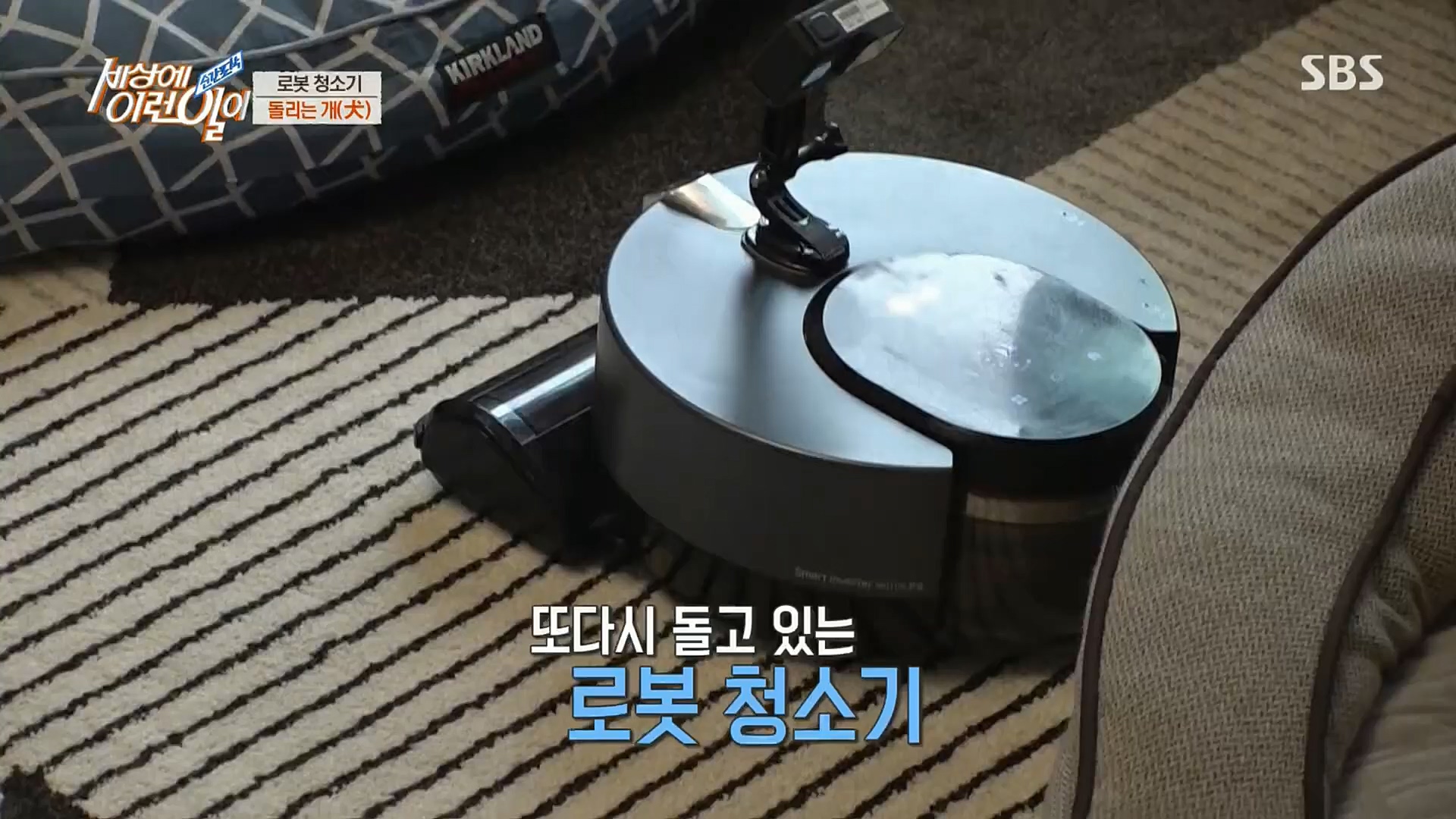 순간포착 세상에 이런일이.E1209.221213p.H264-F1RST.mp4_20221214_193201.629.jpg