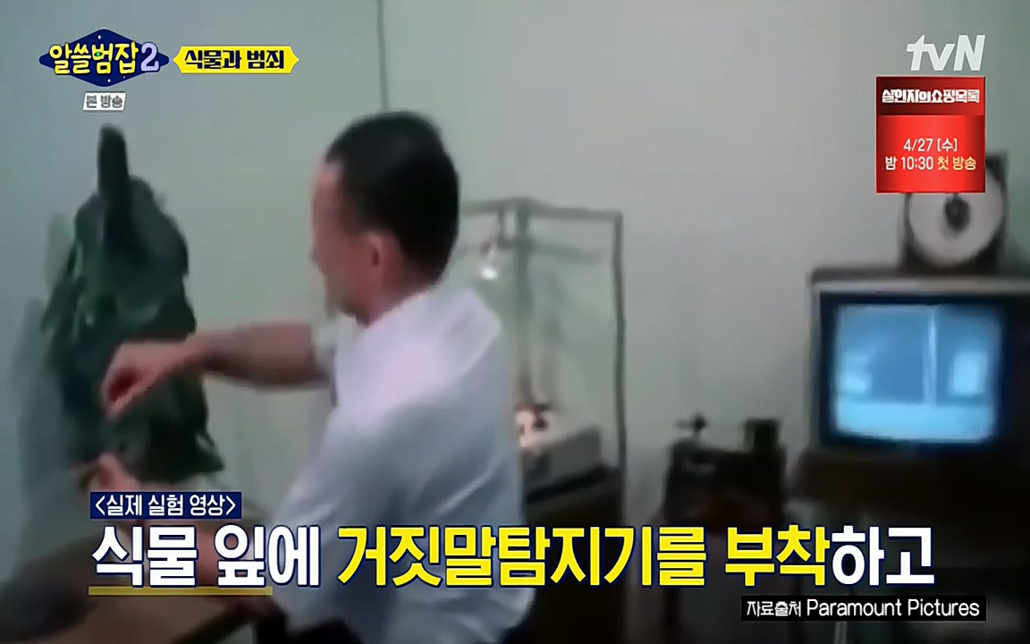 알쓸범잡 2.E15.220425p-NEXT.mp4_20220425_175022.256.jpg