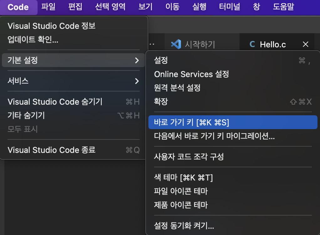 맥북에서 C언어 프로그래밍 환경 세팅 - 비주얼 스튜디오(Visual Studio) 설치방법 VS Code for Mac