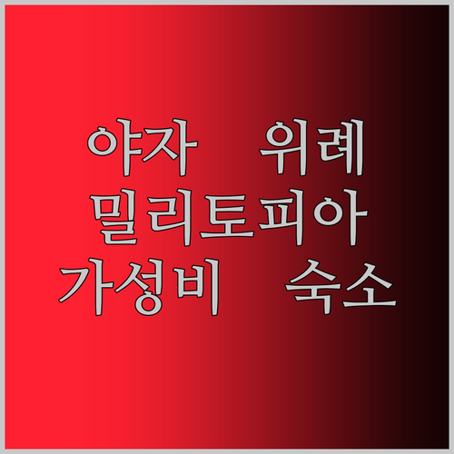 호텔 야자 위례점.. 밀리토피아 호텔
