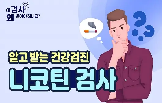  니코틴 소변 검사: 검사 방법, 비용, 결과 해석까지 총정리