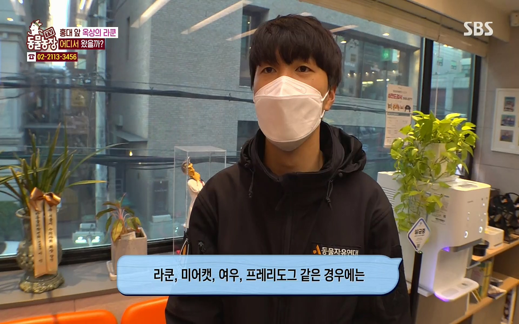 TV 동물농장.E1066.220424p.H264-F1RST.mp4_20220424_200418.990.jpg