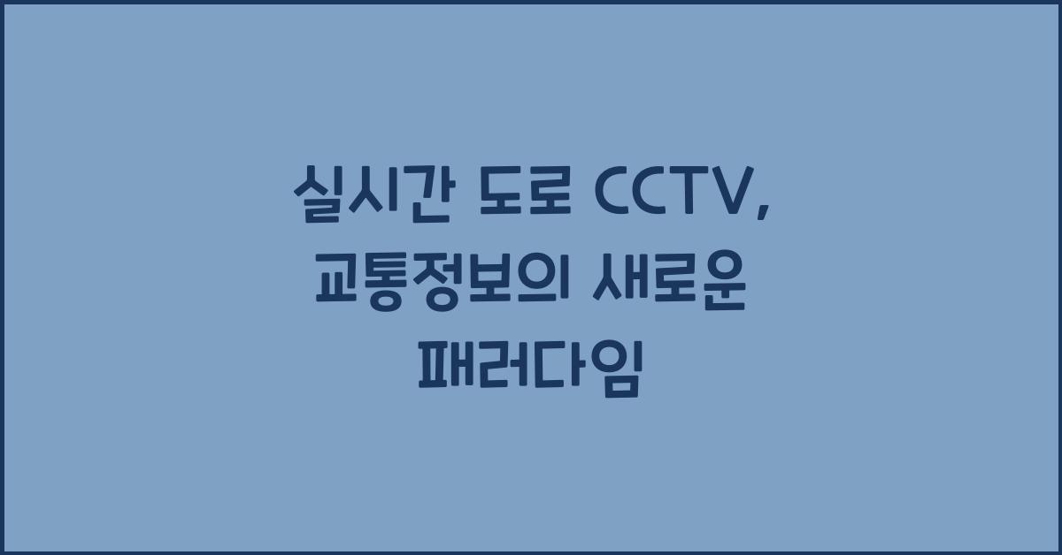 실시간 도로 cctv