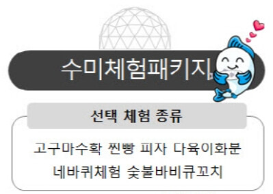 수미체험패키지