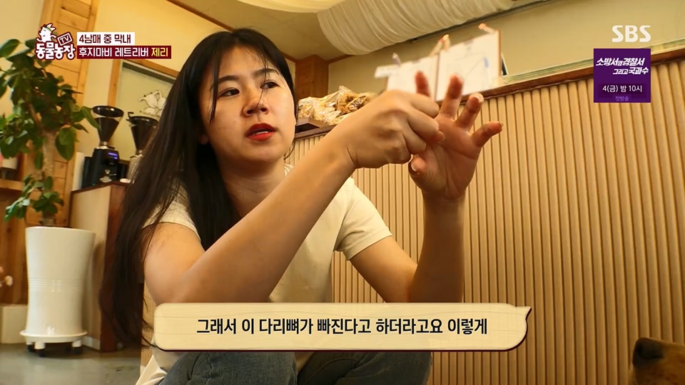 TV 동물농장.E1129.230716p.H264-F1RST.mp4_20230716_183615.683.jpg
