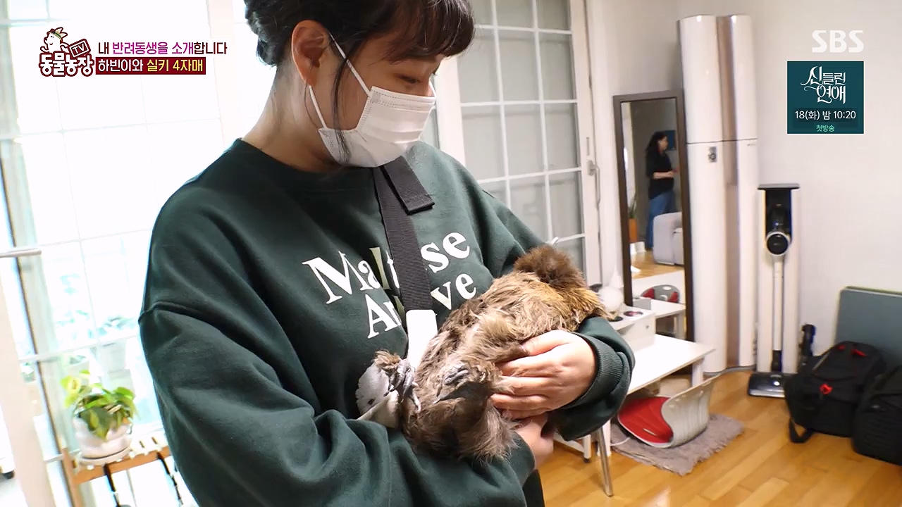 TV 동물농장.E1175.240610p-NEXT.mp4_20240609_160245.613.jpg