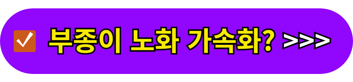 부종이 노화 가속화
