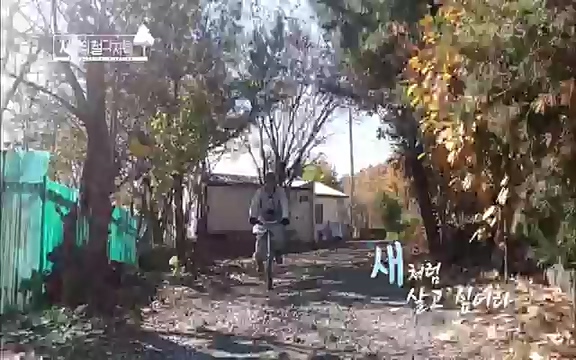 [3회] 자연의 철학자들 - KBS새처럼 살고 싶어라] 자연이라는 위대한 법당에서 숲의 울림, 새들의 소리를 들으며 깨달음을 얻은 도연 스님.ts_20220320_153552.886.jpg