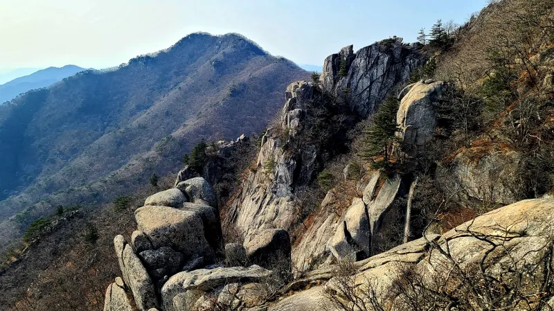 대구 팔공산