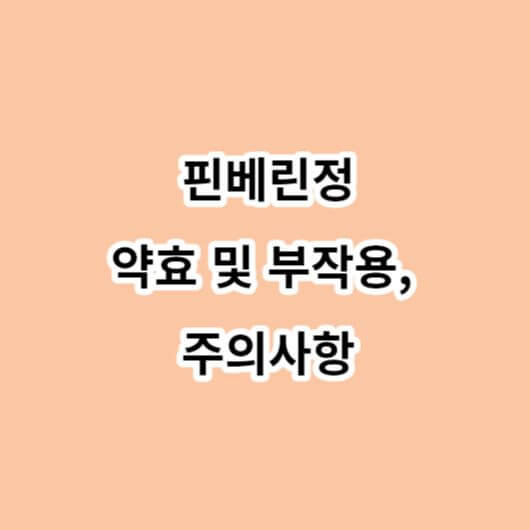 핀베린정-약효-부작용-주의사항