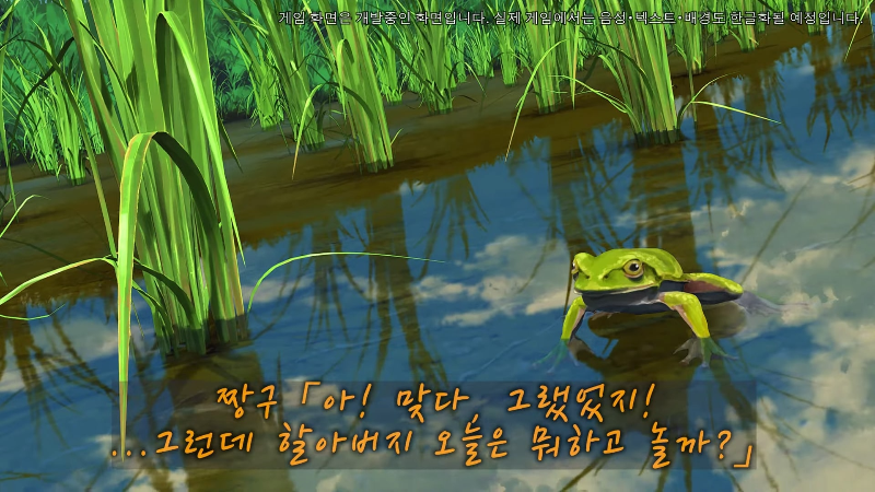 와 개구리 퀄리티보소