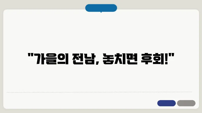 11월에 전남 가볼만한곳 베스트10