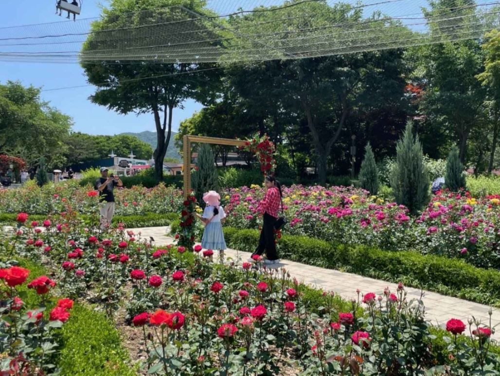 장미원 이미지