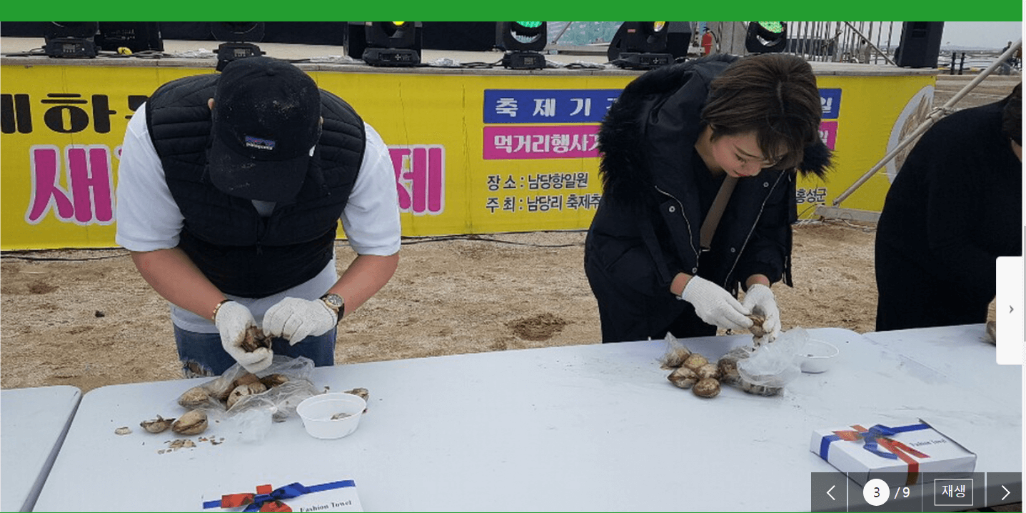 홍성남당항 새조개축제 새조개까기체험