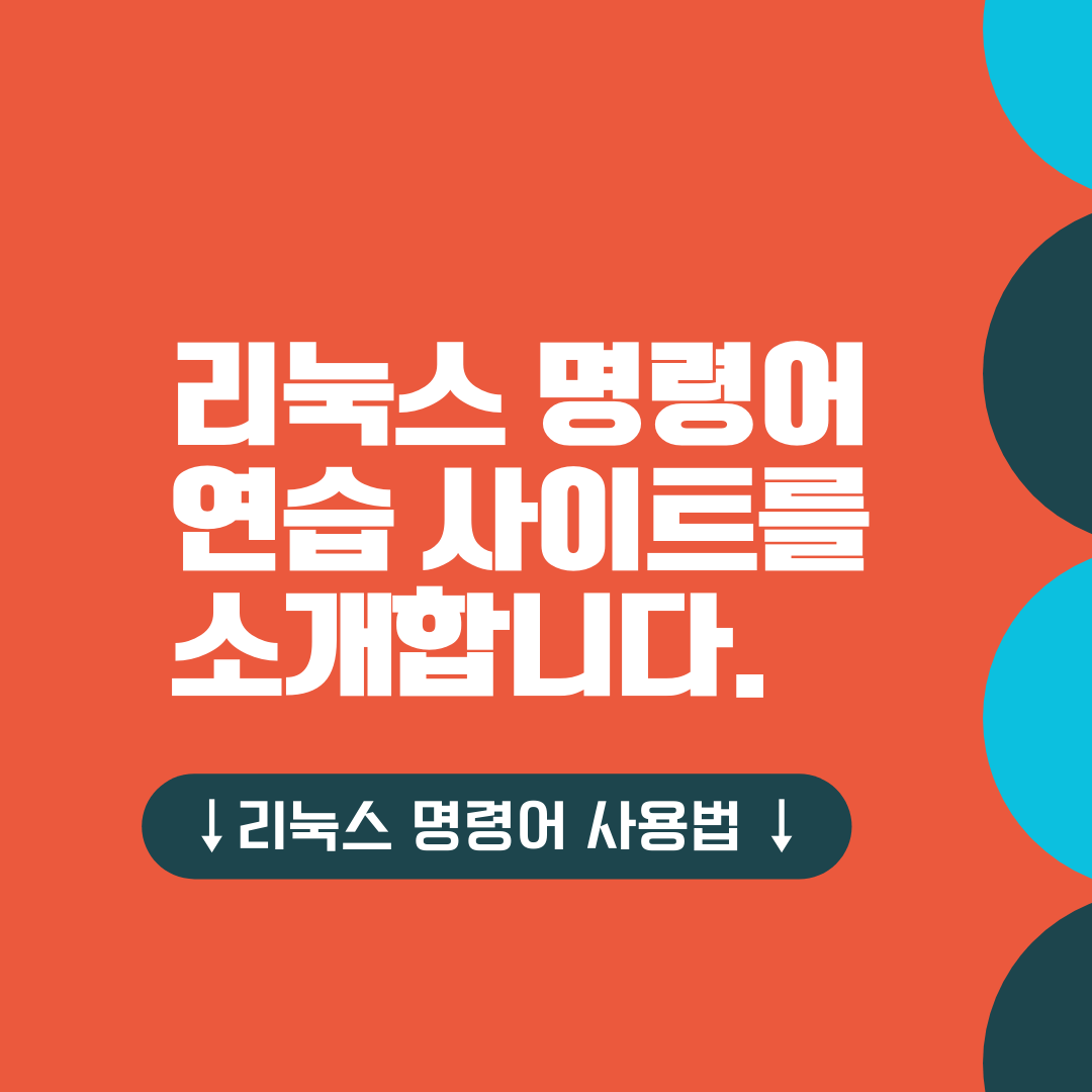 리눅스 명령어 연습 사이트 추천! Best 3