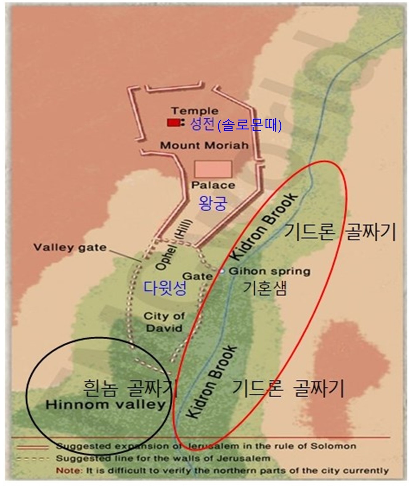 엔로겔 이미지