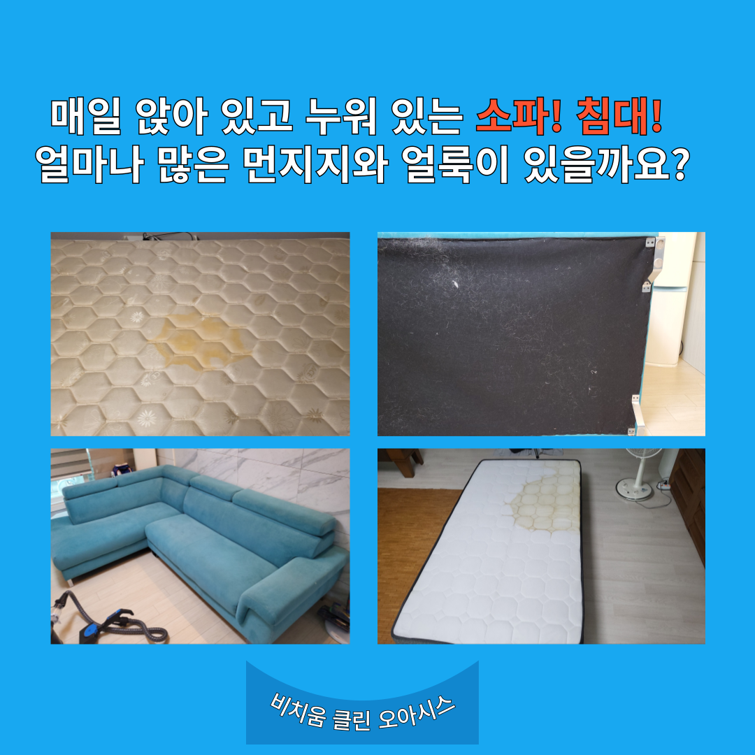 비치움클린오아시스 이미지