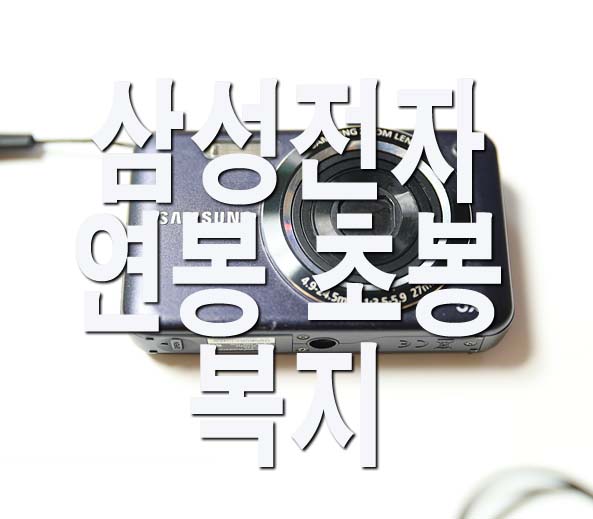  삼성전자 연봉(+신입사원 초봉,월급,직급별 연봉,복지)