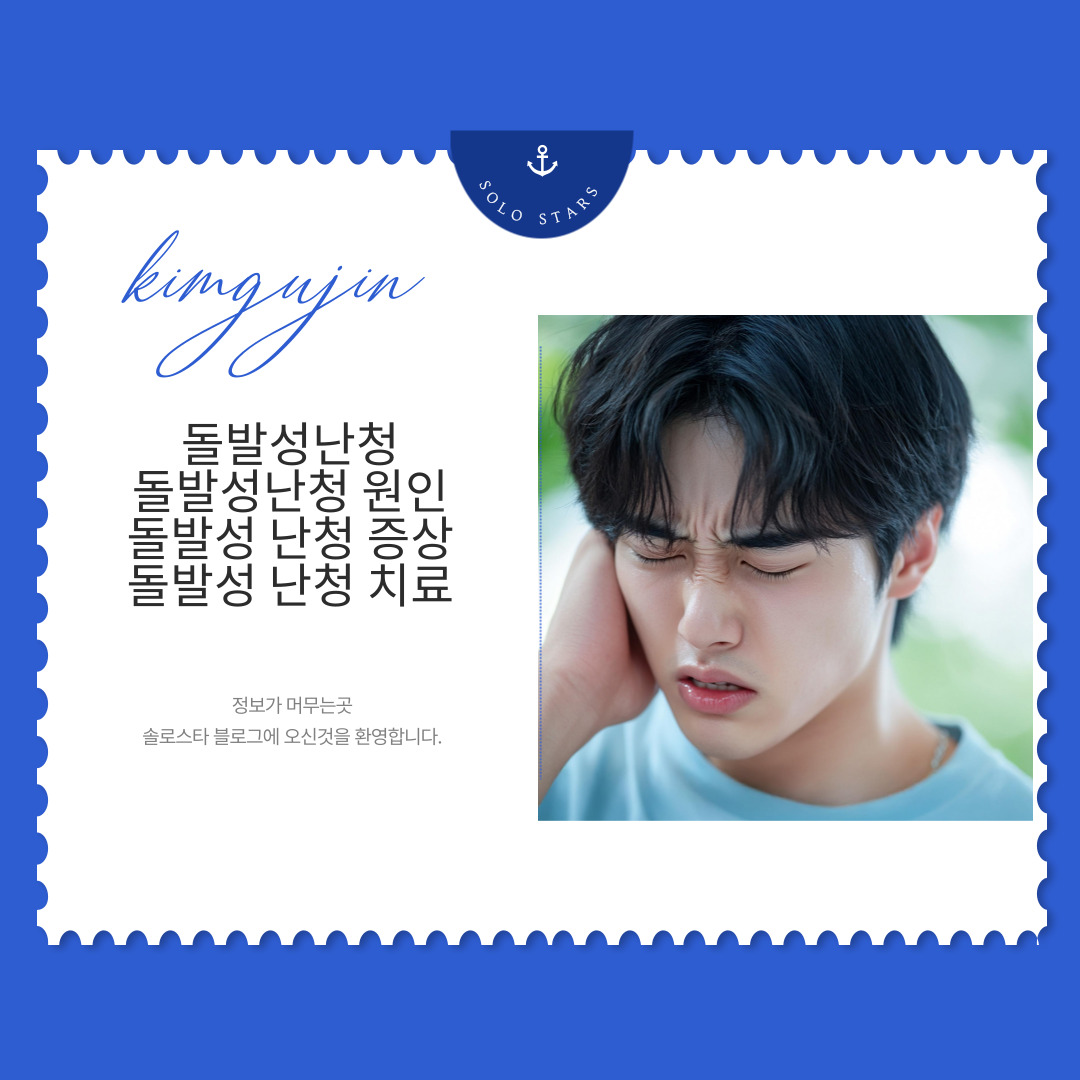 돌발성난청 사진