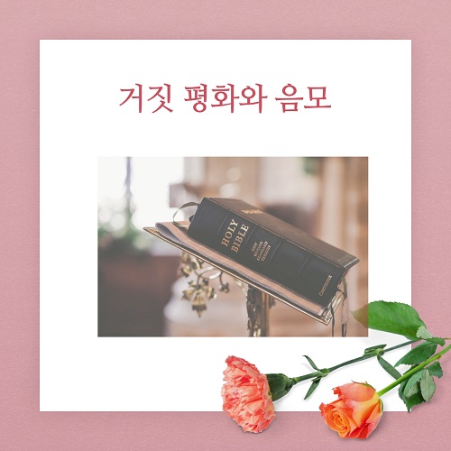 썸네일-거짓 평화와 음모